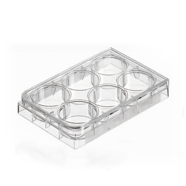 6/24/96 Wells Plate Cell Culture Dish PCR Plates Tissue from China