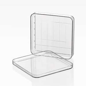 Square Petri Dish Size 100mm 130mm for Laboratory Use